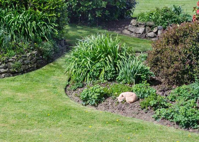 Tregaddra Farm B&B