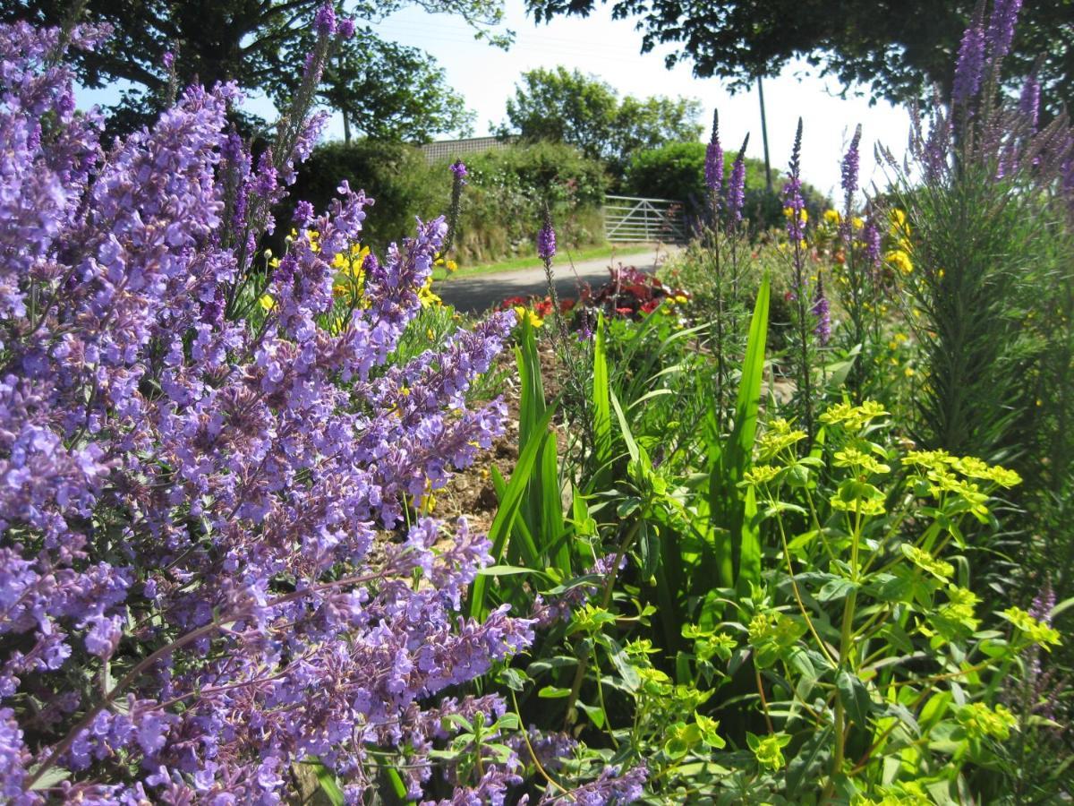 Tregaddra Farm Bed & Breakfast 4*