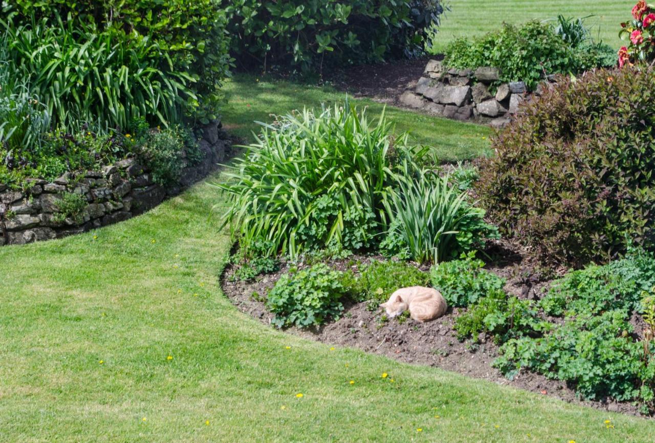 Bed & Breakfast Tregaddra Farm