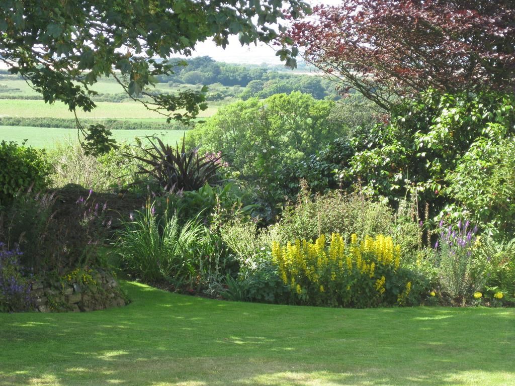 Bed & Breakfast Tregaddra Farm